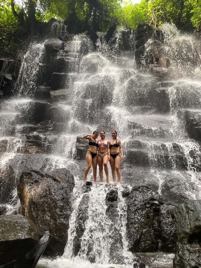 Monkey Forest, Waterfall ,Temple and Rice Terrace - Who Will Love This Tour?