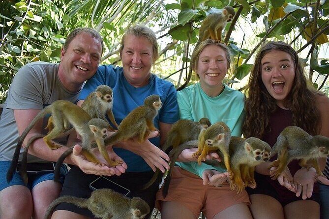 Monkey Mania Puerto Plata - The Itinerary In-Depth