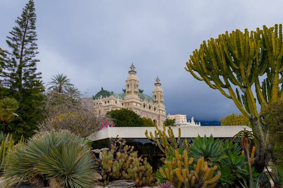 Monte Carlo Casino with cacti and palm trees in foreground