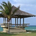 Montego Bay: 5-Day Jamaica Tour with Meals and Transfers - Practical Insights and What You Need to Know