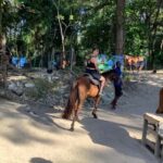 Montego Bay: Horseback Riding and Dunn's River Falls Tour - Starting Point: The Montego Bay Cruise Terminal or Hotels Lobby
