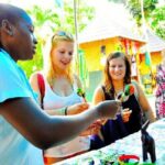 Montego Bay to Dunn's River Falls Half-Day Trip - Discovering Dunn’s River Falls: What to Expect