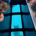 Moorea: Glass Bottom Boat Adventure with Lagoon Wonders - The Itinerary Breakdown