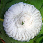 Morning Tuk tuk: City, Handicrafts, Killing field, Temples - Practical Details and Value