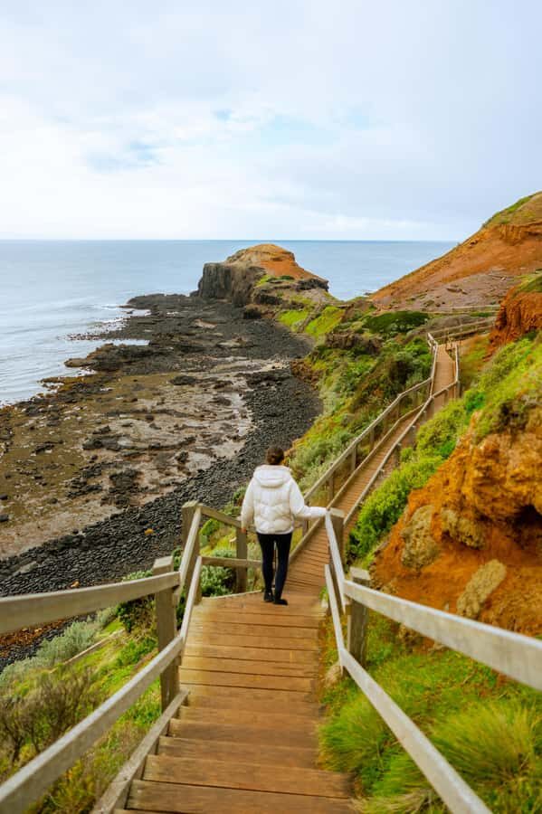 Mornington Peninsula Private Day Tour - What This Tour Means for Your Travel Experience