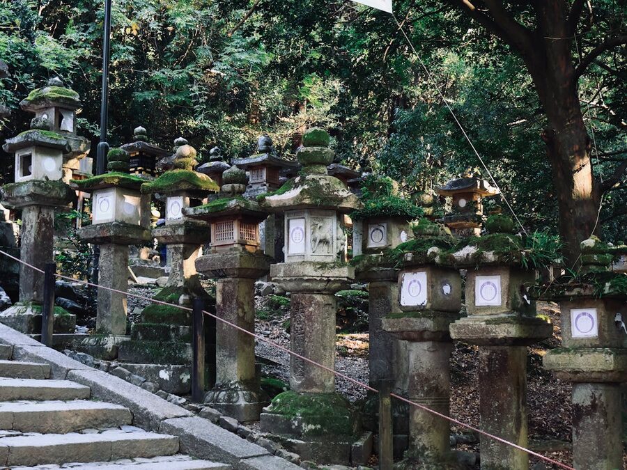 Moss-covered stone lanterns lining a tranquil forest path in historic Nara