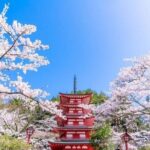 Mount Fuji 5th Station, Arakurayama, Oshino Hakkai and Hot Spring - Transportation and Group Size