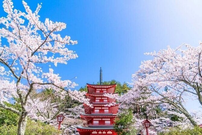 Mount Fuji 5th Station, Arakurayama, Oshino Hakkai and Hot Spring - Transportation and Group Size
