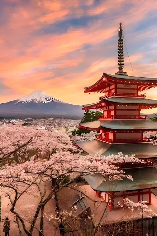 Mount Fuji Full-Day Private Tour from Tokyo (Customizable) - Why This Tour Is a Great Choice