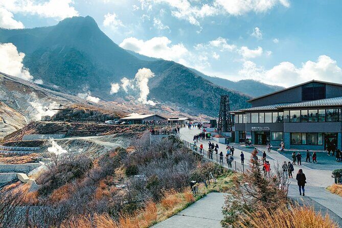 Mount Fuji & Hakone: 1-Day Private Van Tour with Hotel Pick-Up - Who Should Consider This Tour?