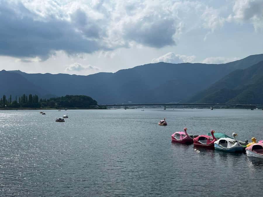 Mount Fuji & Hakone Private Tour with Cherry Blossoms - A Closer Look at the Mount Fuji & Hakone Private Tour