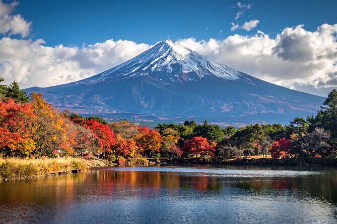 Mount Fuji Private Custom Tour with Local English Speaking Guide - The Itinerary Breakdown