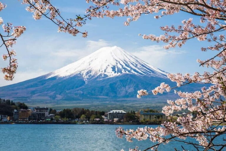 Mount Fuji: Private Full day Tour (Customizable) Eng driver - A Deep Dive into the Mount Fuji Experience