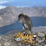 Mount rinjani summit 2 D/1 N tour - Why This Tour Offers Great Value