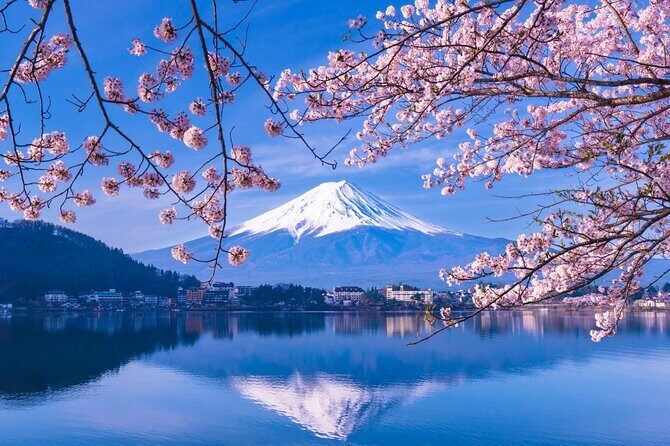 Mt. Fuji and Hakone Private Tour with English Speaking Driver - Transportation and Logistics