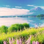 Mt. Fuji in Comfort: Private Ride Premium Service - Why Choose the Mt. Fuji in Comfort Tour?