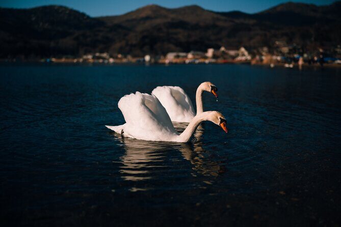 Mt. Fuji Scenic Lakes and Oshino Hakkai Private Tour - FAQ