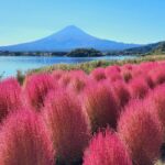 Mt Fuji Tour from Shimizu Port by Private Car - An In-Depth Look at the Mt. Fuji from Shimizu Port Tour