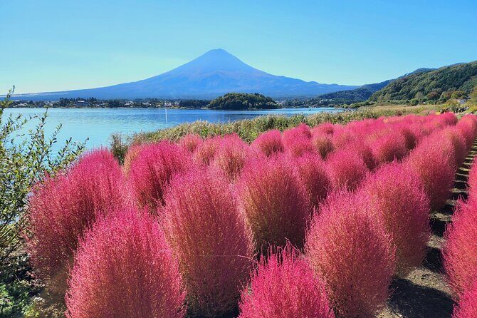 Mt Fuji Tour from Shimizu Port by Private Car - The Sum Up