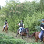 Mt Mogan Horse Riding - Half-day Outdoor Trail Riding near Hangzhou - Practical Details & Considerations