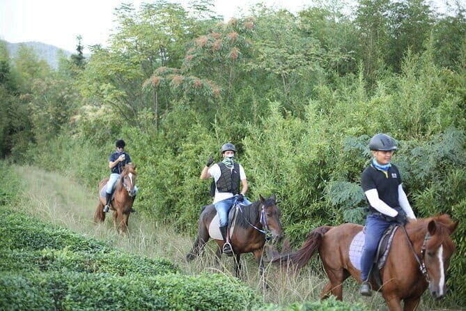 Mt Mogan Horse Riding - Half-day Outdoor Trail Riding near Hangzhou - Practical Details & Considerations