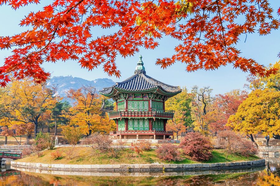 Seoraksan autumn maple trees reflected in a pond