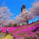 Mt Tsukuba Amazing Day Tour - Practical Details and Value