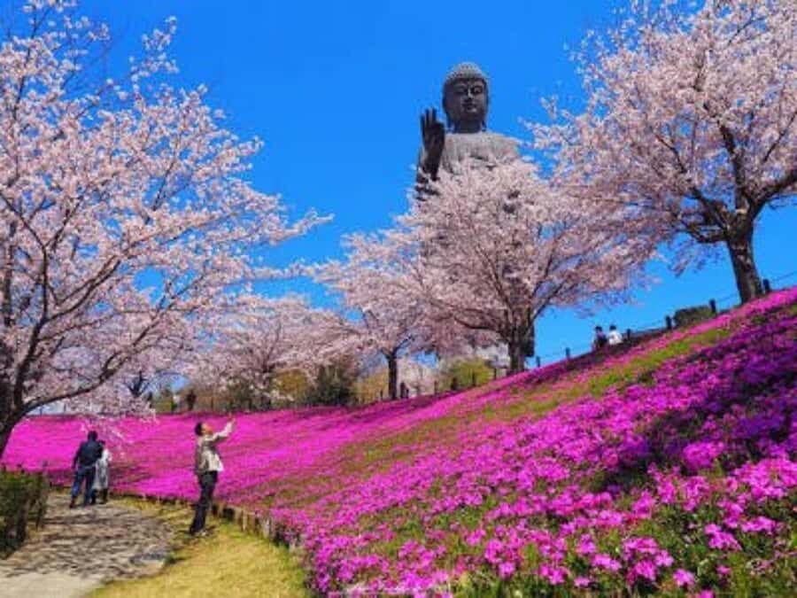 Mt Tsukuba Amazing Day Tour - Practical Details and Value