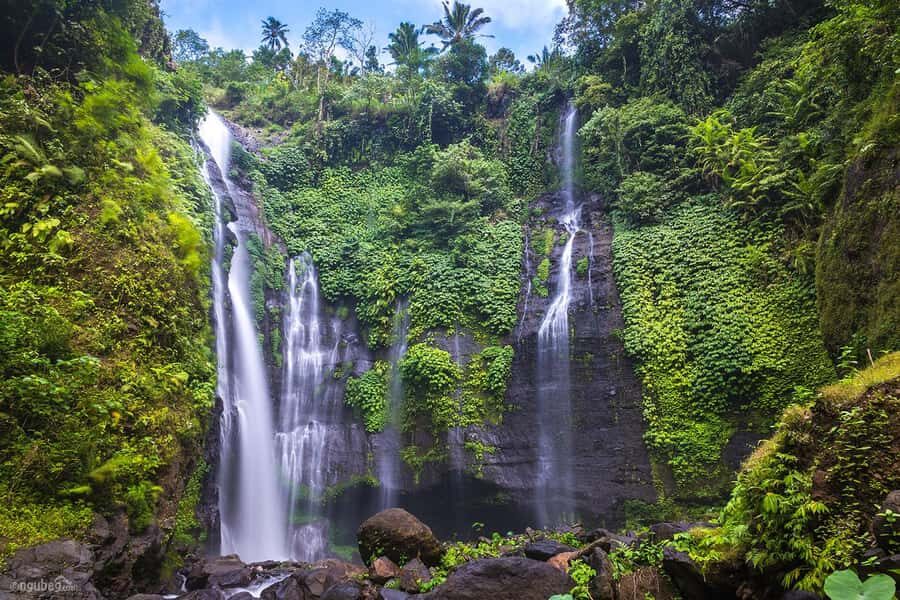 Munduk: Banyu Wana and Sekumpul Waterfall Trekking Tour - An In-Depth Look at the Tour Experience