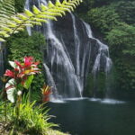 Munduk Twin lake Trekking, Ulun Danu Beratan & Hidden Waterfall - Authentic and Engaging: What Reviewers Say