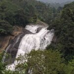 Munnar: Tea Garden and Elephant Safari Trip by 4x4 - The Sum Up