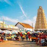 Mysore: Full-Day Guided Excursion with Hotel Pickup - Who Would Love This Experience?