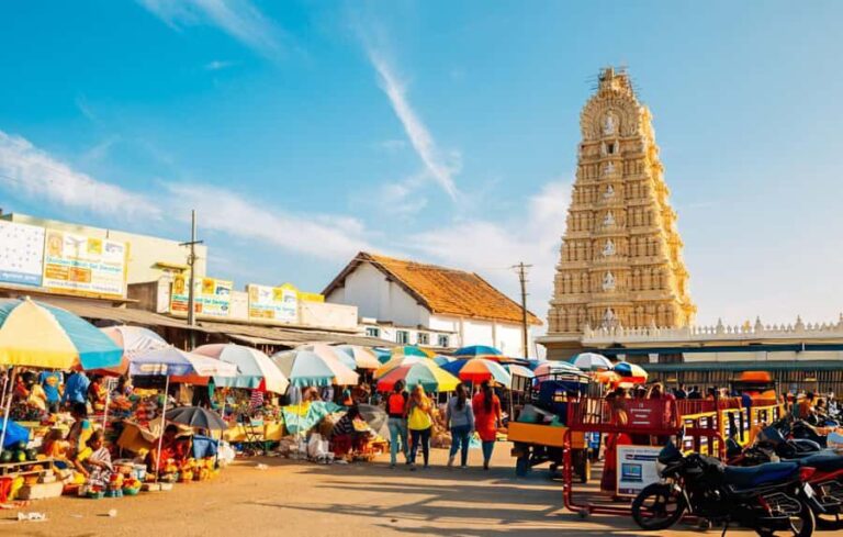 Mysore: Full-Day Guided Excursion with Hotel Pickup - Who Would Love This Experience?