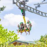 Mystic Mountain Dunn's River with Bobsled & Raggamuffin - Why This Tour Is a Great Choice