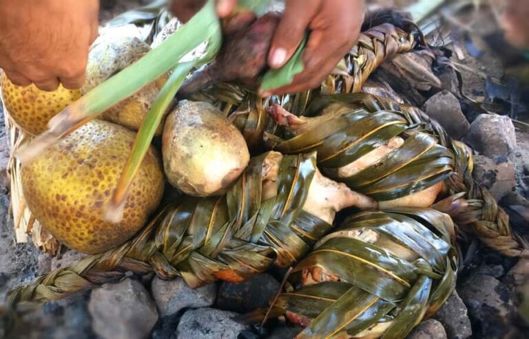 Nadi: Fijan Culture Night Tour with Dinner & Kava Ceremony - What Our Reviewers Say