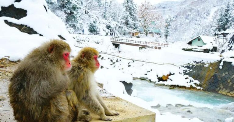 Nagano: Snow Monkey Private Day Tour with Driver from Tokyo - Frequently Asked Questions