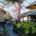 Nagano: Zenko-ji Temple Guided Tour with Rituals - A Thorough Look at the Zenko-ji Guided Tour Experience