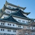 Nagoya City Cherry Blossom Private Sightseeing Tour - Who Is This Tour Best For?