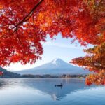Nagoya: Mount Fuji Private Full-Day Scenic Tour With Guide - Why Choose This Tour?