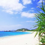 Naha: Tokashiki Day Trip & Kerama Islands Scuba Diving Trip - What’s Included and What to Consider