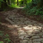 Nakasendo Samurai Road Hiking tour from Nagoya - The Value of the Tour: What You’re Really Getting