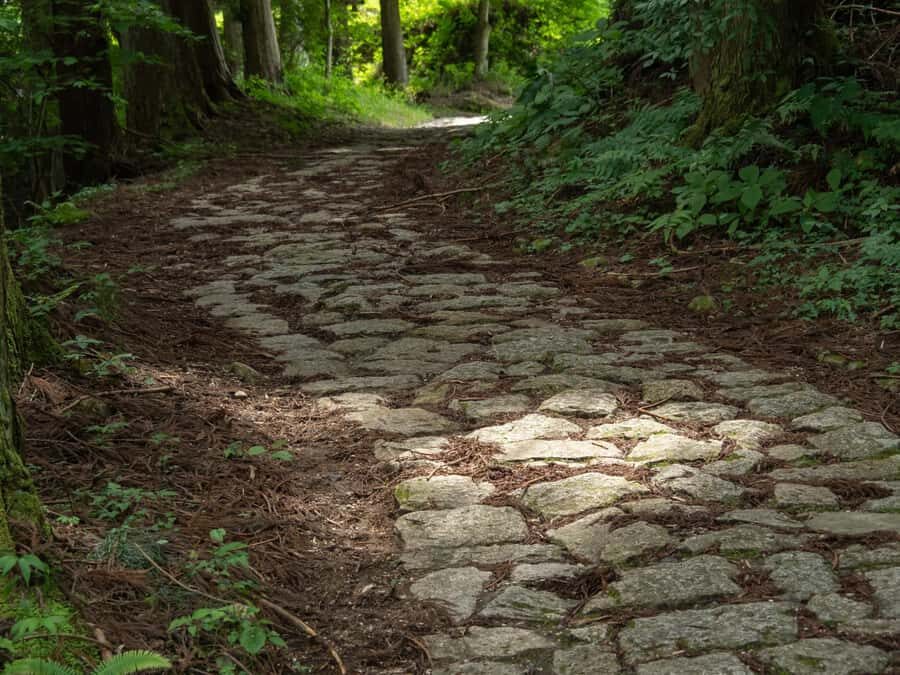 Nakasendo Samurai Road Hiking tour from Nagoya - The Value of the Tour: What You’re Really Getting