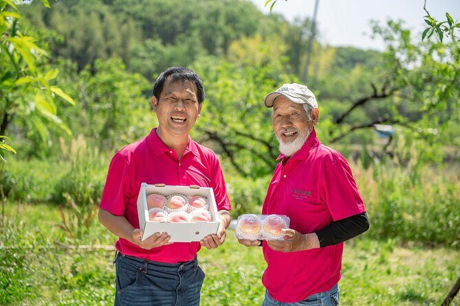 Nakatsu Orchard Fruit Tasting Tour - The Itinerary in Detail