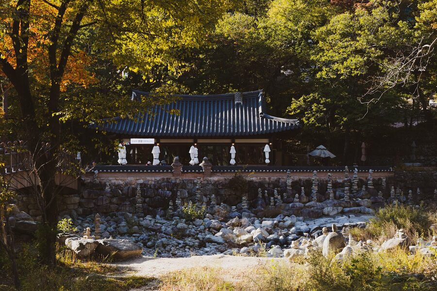 Korean autumn foliage maple ginkgo leaves Gapyeong countryside