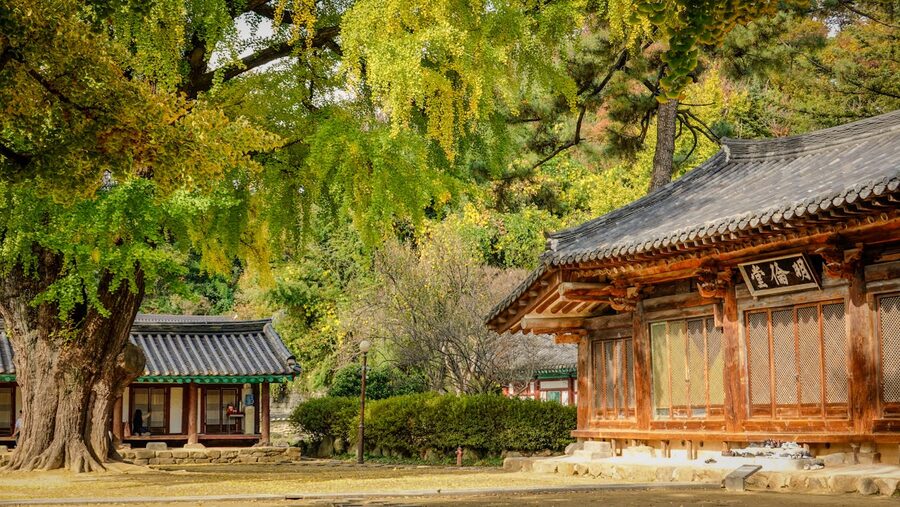 Korean temple autumn foliage day trip Gapyeong