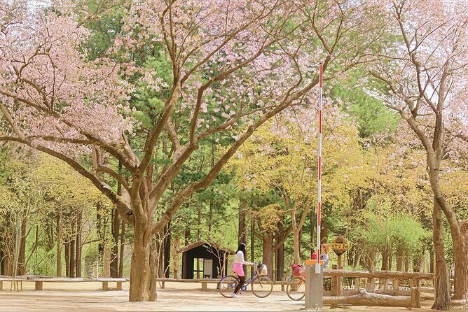 Nami island and Hanbok Wearing and Waterfall from Seoul - Value and Practicality