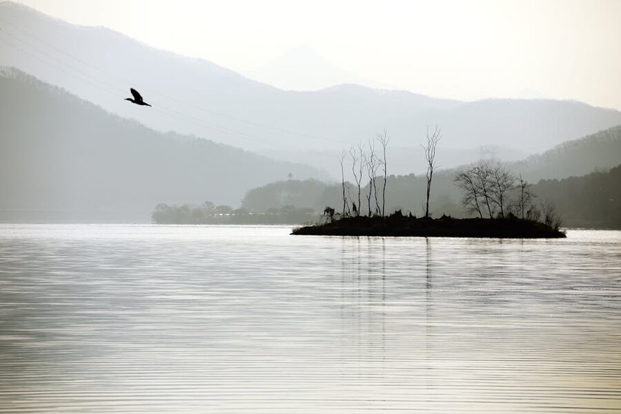 Nami Island winter mist over the lake