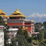 Namo Buddha and Thrangu Tashi Yangtse Monastery Tour - Practical Details and What to Expect