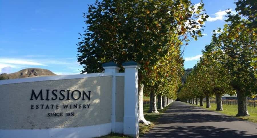 Napier: Afternoon Winery Tour Tasting at 3 Great Wineries - Why This Tour Works Well