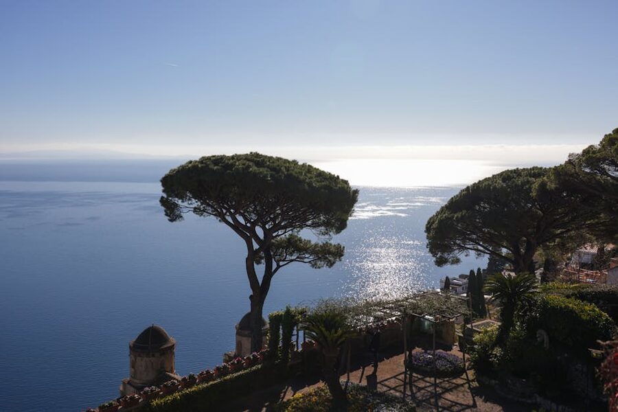 Amalfi Coast view through pine trees